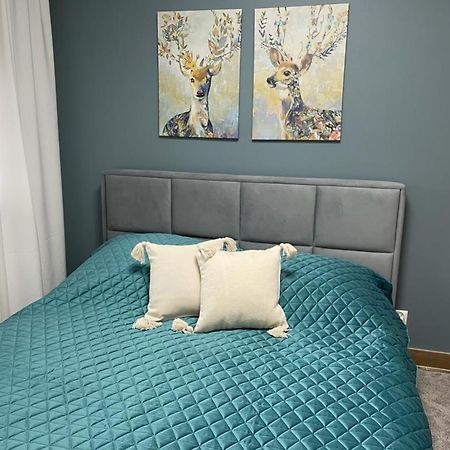 Apartament Sosnowy Zakatek Gliwice Exterior photo
